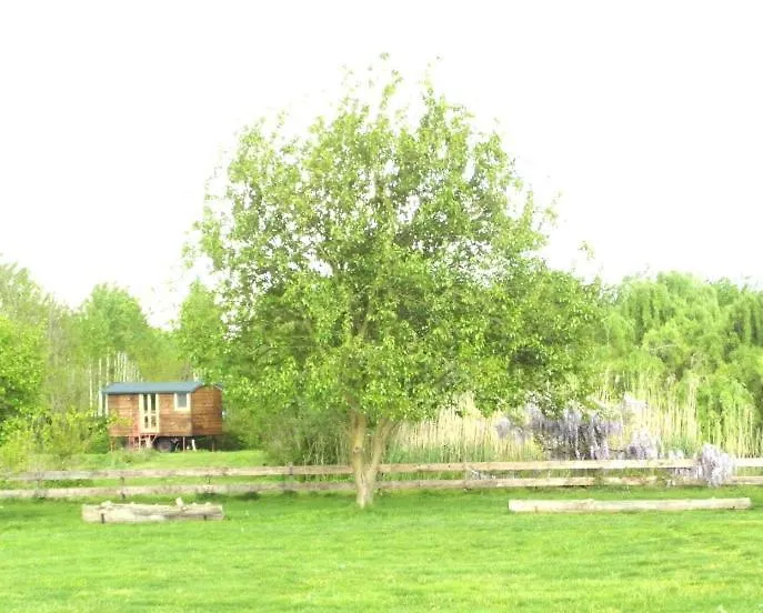 Glamping Casetta sul lago-1